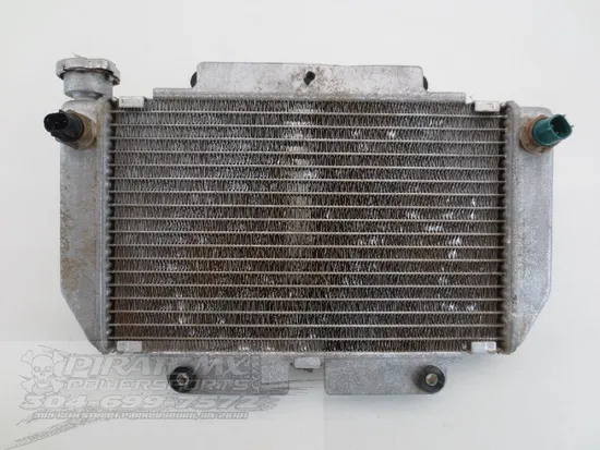 Engine Radiator Cooling 2006 Yamaha YFZ450 896A x