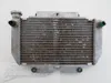 Engine Radiator Cooling 2006 Yamaha YFZ450 896A x