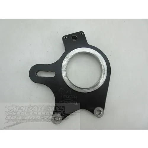 Brake Stay 2007 Triumph Sprint ST ABS 883 3