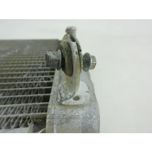 Engine Radiator Cooling 2008 Can-Am Renegade 800 4x4 X HO EFI 908 x 19