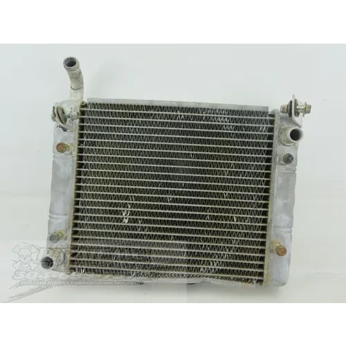 Engine Radiator Cooling 2008 Can-Am Renegade 800 4x4 X HO EFI 908 x 20