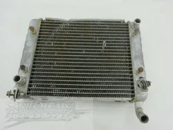 Engine Radiator Cooling 2008 Can-Am Renegade 800 4x4 X HO EFI 908 x