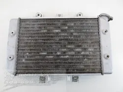 Engine Radiator Cooling 2006 Polaris Predator 500 914 x