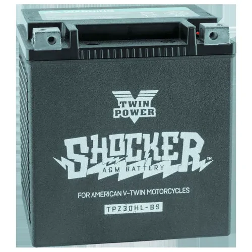 Twin Power Shocker Battery 1