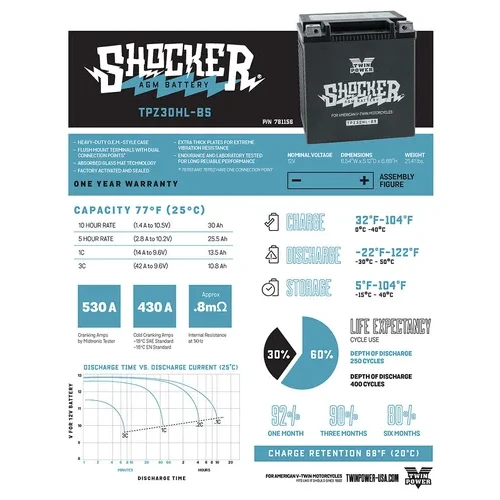 Twin Power Shocker Battery 2