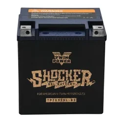 Twin Power Shocker® Gel Batteries