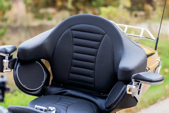 Mustang Super Touring Deluxe Extended Arm Wrap Around Backrest