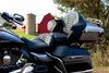 Mustang Super Touring Deluxe Extended Arm Wrap Around Backrest