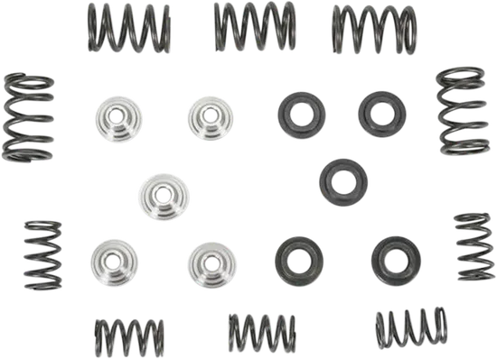 Kibblewhite  Intake Exhaust Valve Spring Kit