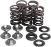 Kibblewhite  Intake Exhaust Valve Spring Kit