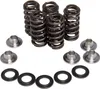 Kibblewhite  Intake Exhaust Valve Spring Kit