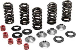 Kibblewhite  Titanium Intake Exhaust Valve Spring Kit