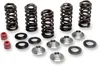 Kibblewhite  Titanium Intake Exhaust Valve Spring Kit