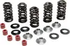 Kibblewhite  Titanium Intake Exhaust Valve Spring Kit