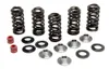 Kibblewhite  Titanium Intake Exhaust Valve Spring Kit