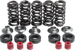 Kibblewhite  Titanium Intake Exhaust Valve Spring Kit
