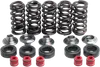 Kibblewhite  Titanium Intake Exhaust Valve Spring Kit
