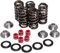 Kibblewhite Intake Ehaust Valve Spring Kit Yamaha YFZ YZF WR