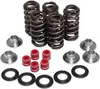Kibblewhite Intake Ehaust Valve Spring Kit Yamaha YFZ YZF WR