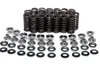 KibbleWhite Racing Exhaust Intake Valve Spring Kit