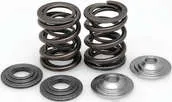 KibbleWhite Racing Exhaust Intake Valve Spring Kit 2