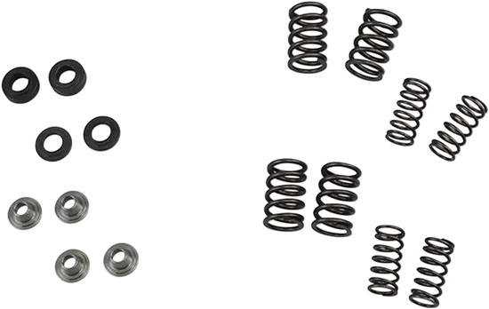 KibbleWhite Racing Exhaust Intake Valve Spring Kit