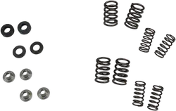 KibbleWhite Racing Exhaust Intake Valve Spring Kit