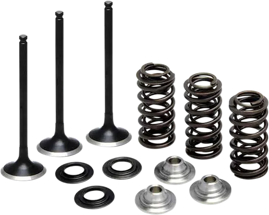 Kibblewhite  Stainless Steel Conversion Intake Valve Spring Kit