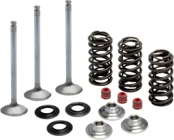 Kibblewhite  Stainless Steel Conversion Intake Valve Spring Kit