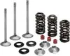Kibblewhite  Stainless Steel Conversion Intake Valve Spring Kit