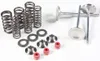 Kibblewhite  Stainless Steel Conversion Intake Valve Spring Kit