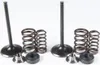 Kibblewhite  Intake Exhaust Valve Spring Kit