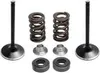 Kibblewhite  Intake Exhaust Valve Spring Kit