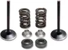 Kibblewhite  Intake Exhaust Valve Spring Kit