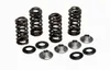 Kibblewhite  Exhaust Intake Valve Spring Kit