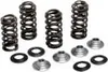 Kibblewhite  Exhaust Intake Valve Spring Kit