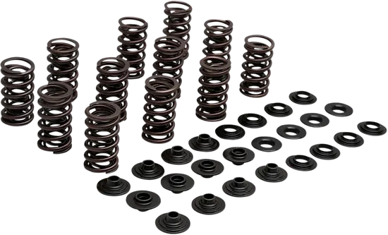 KibbleWhite Racing Exhaust Intake Valve Spring Kit