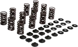 KibbleWhite Racing Exhaust Intake Valve Spring Kit