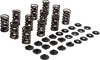 KibbleWhite Racing Exhaust Intake Valve Spring Kit