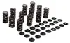 KibbleWhite Racing Exhaust Intake Valve Spring Kit