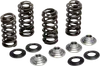 Kibblewhite  Titanium Intake Exhaust Valve Spring Kit