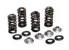 Kibblewhite  Titanium Intake Exhaust Valve Spring Kit