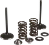 Kibblewhite Stainless Steel Conversion Intake Valve Spring Kit