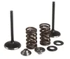 Kibblewhite Stainless Steel Conversion Intake Valve Spring Kit