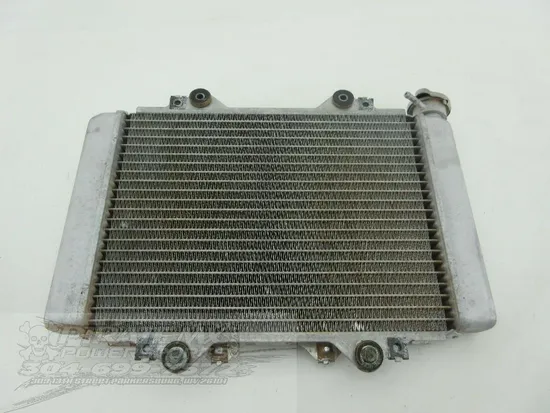 Engine Radiator Cooling 2008 Kawasaki KFX450R 972 x