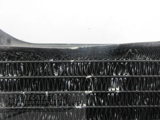 Engine Radiator Cooling 1987 Suzuki Quadracer 250 LT250R 2x4 982 x