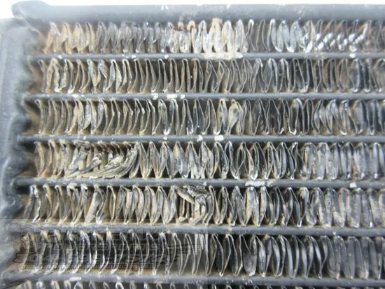 Engine Radiator Cooling D 1987 Suzuki Quadracer 250 LT250R 2x4 982 x