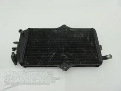 Engine Radiator Cooling D 1987 Suzuki Quadracer 250 LT250R 2x4 982 x