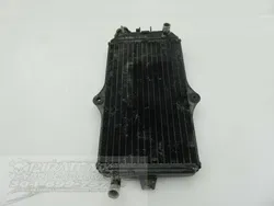 Engine Radiator Cooling E 1987 Suzuki Quadracer 250 LT250R 2x4 982 x