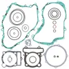 Vertex Complete Gasket Set No Oil Seals